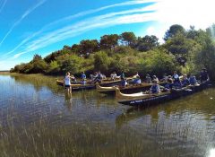 camping avec lac Mimizan