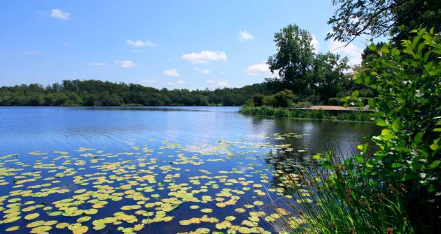 camping bord de lac