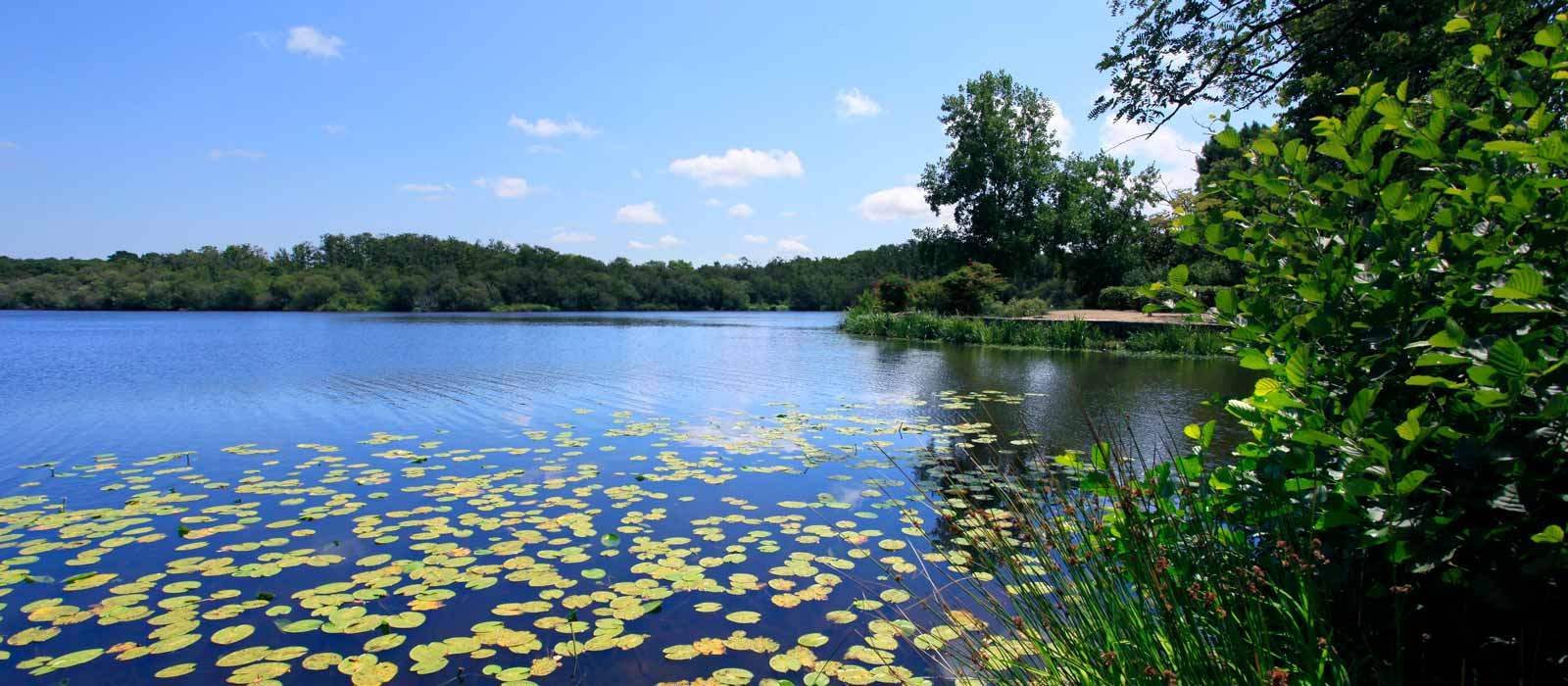 camping bord de lac