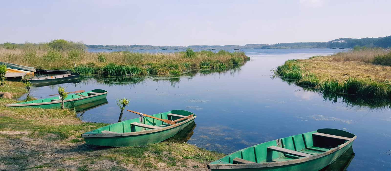 Camping Seignosse