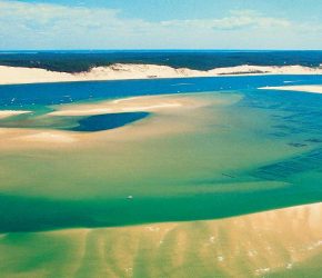 Banc d'Arguin Arcachon