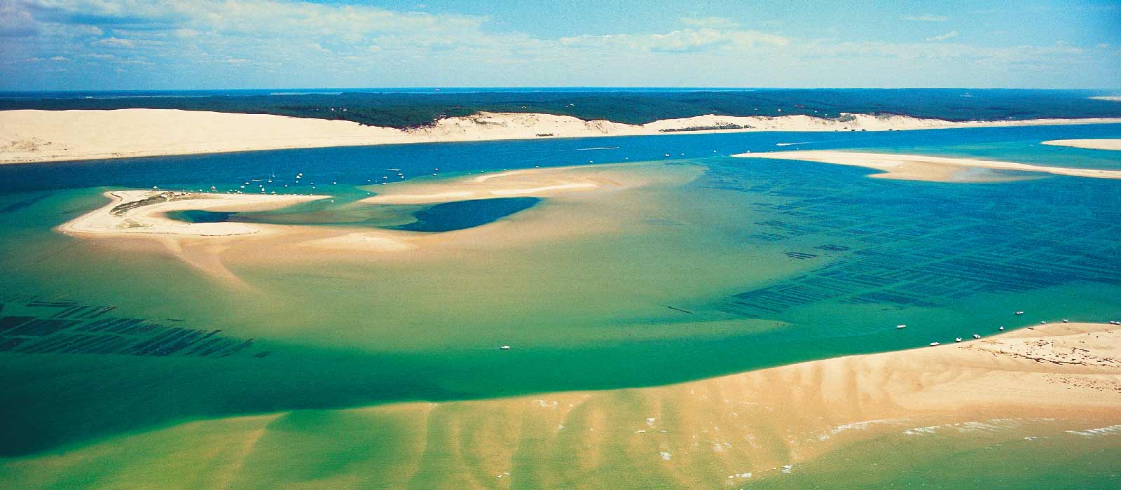 Banc d'Arguin : Discovering the Banc d'Arguin in Arcachon in Gironde