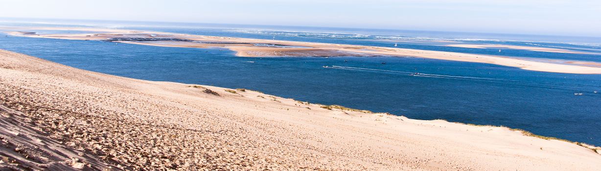 banc arguin arcachon