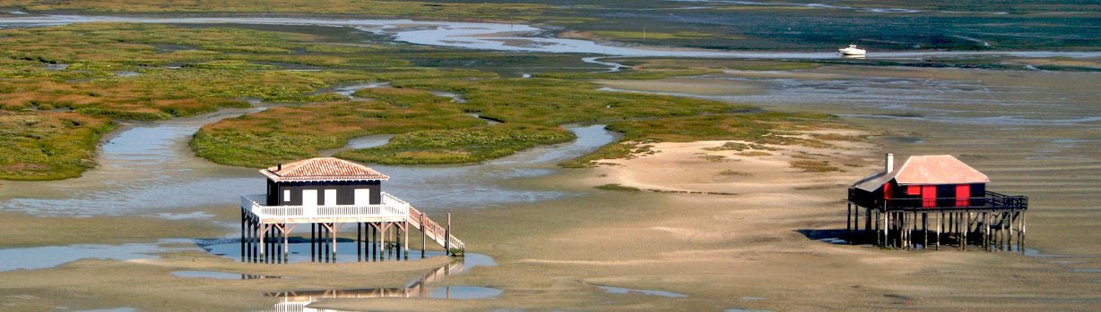 ile aux oiseaux cabanes tchanquées arcachon