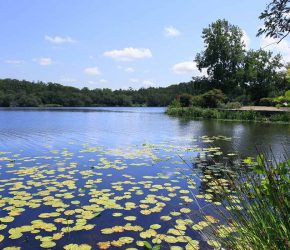 lacs des Landes