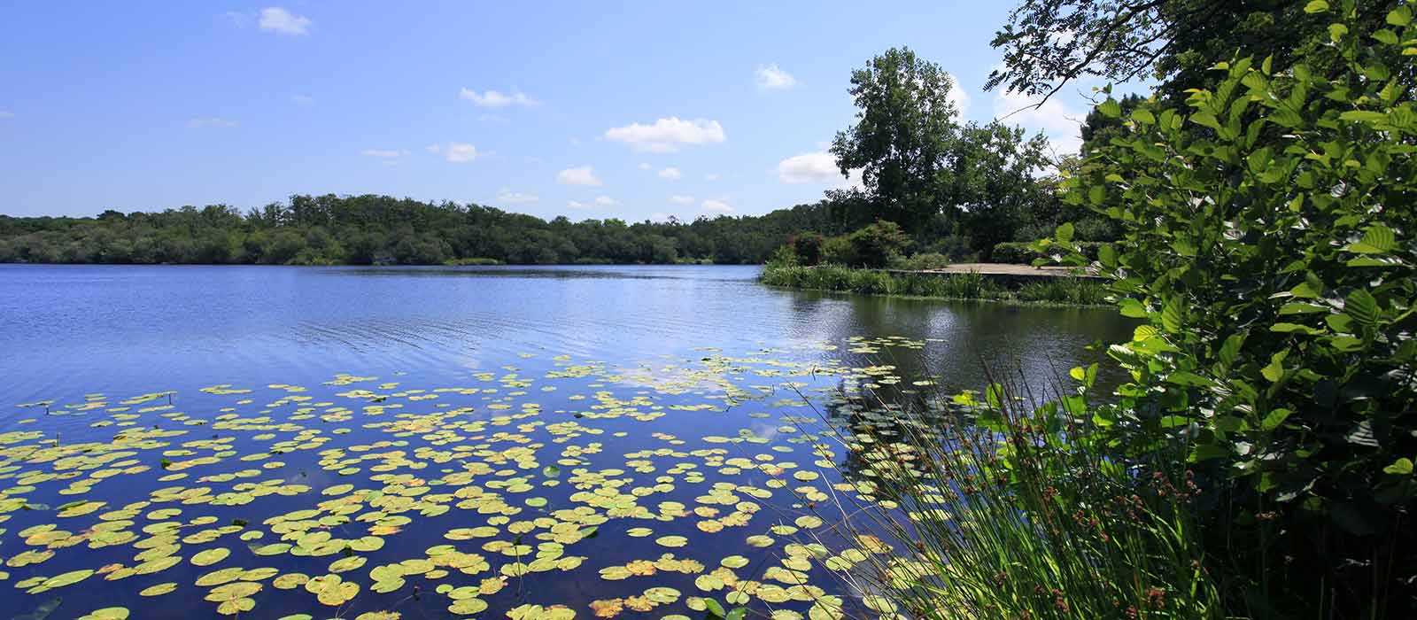 lacs des Landes