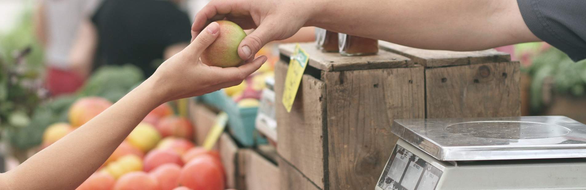 marché seignosse